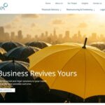 Sandiva Business Consultant